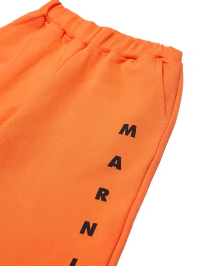 Marni Logo Casual Shorts In Orange