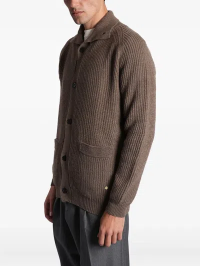 Greyed Button Ribbed Cardigan In Brown
