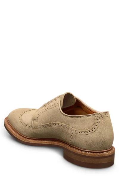 Allen Edmonds Winston Wingtip Brogue Derby In Brown
