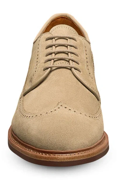 Allen Edmonds Winston Wingtip Brogue Derby In Brown