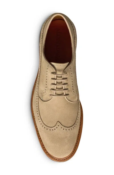 Allen Edmonds Winston Wingtip Brogue Derby In Brown