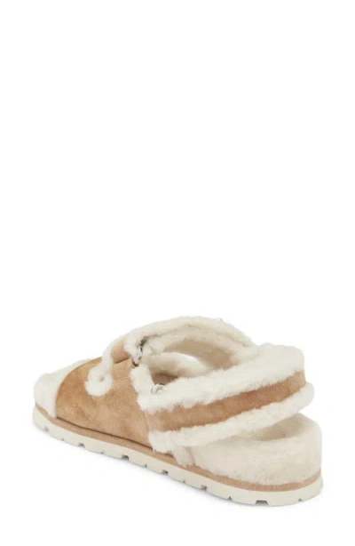 Stuart Weitzman Wynter Genuine Shearling Sandal In Multi