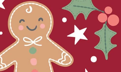 Stephen Joseph Embroidered Holiday Stocking In Red