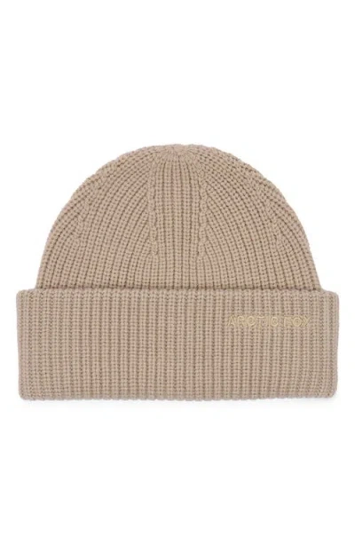 Arctic Fox & Co. Arctic Fox & Co The Embroidered Merino Wool Beanie In Brown