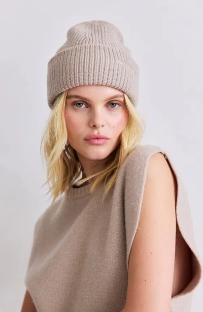 Arctic Fox & Co. Arctic Fox & Co The Embroidered Merino Wool Beanie In Brown
