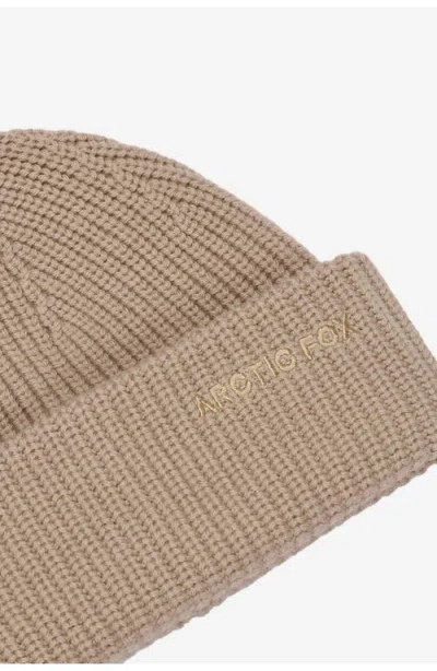 Arctic Fox & Co. Arctic Fox & Co The Embroidered Merino Wool Beanie In Brown