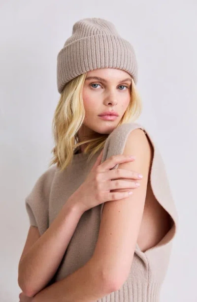 Arctic Fox & Co. Arctic Fox & Co The Embroidered Merino Wool Beanie In Brown