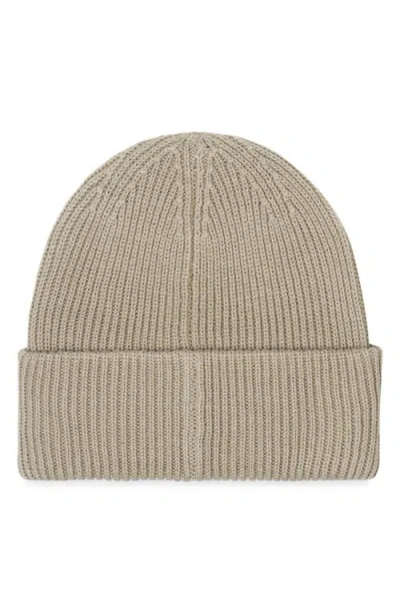 Arctic Fox & Co. Arctic Fox & Co The Recycled Bottle Beanie In Neutral