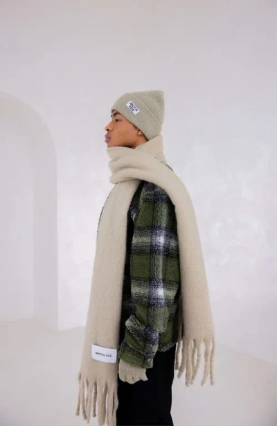 Arctic Fox & Co. Arctic Fox & Co The Recycled Bottle Beanie In Neutral