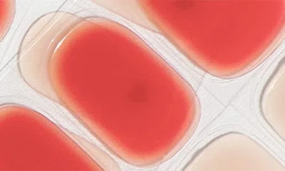 Heyhae Sun-cured Gel Nail Strips