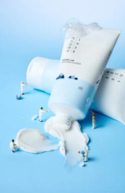 Round Lab 1025 Dokdo Cleanser In Transparent