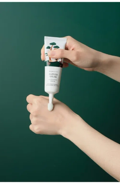 Round Lab Pine Calming Cica Cream In Transparent