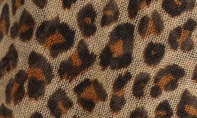 Chan Luu Fringe Cashmere & Silk Scarf In Brown