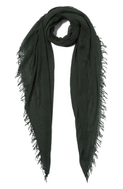 Chan Luu Fringe Cashmere & Silk Scarf In Green