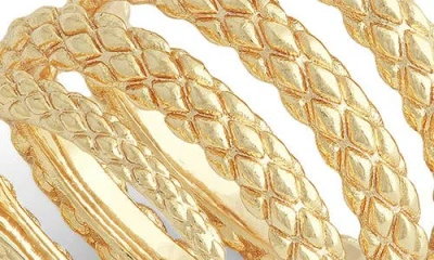 Anabel Aram Jewelry Serpent Wrap Ring In Gold