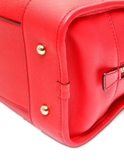 Pre-owned Loewe 2000-2015 Amazona Snail-charm Tote Bag In Red