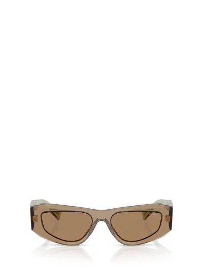 Prada Symbole Rectangular-frame Sunglasses In Brown