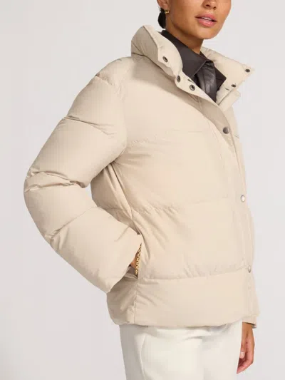 Brochu Walker The Jayden Jacket In Gray