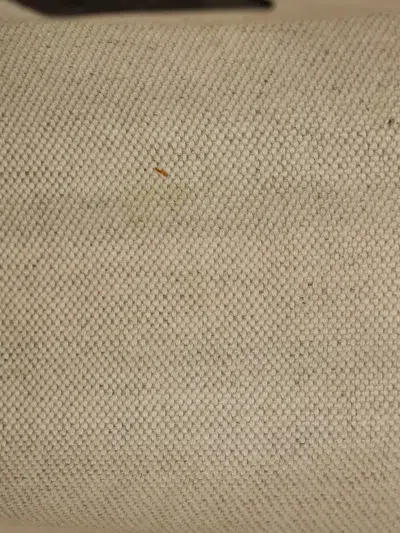 Pre-owned Gucci Emily Chain Flap Ssima Leather Small Shoulder Bag In Black