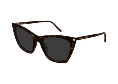 Pre-owned Saint Laurent Women's  Cat Eye Sunglasses Katethin002) In Havana/grey (sl/214