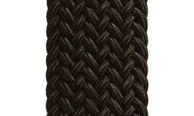 Noah Elastic Belt In Gold