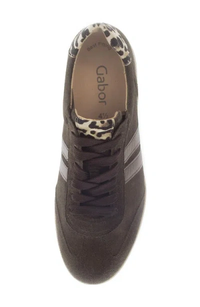 Gabor Sneaker Lh Rfb Bf In Brown