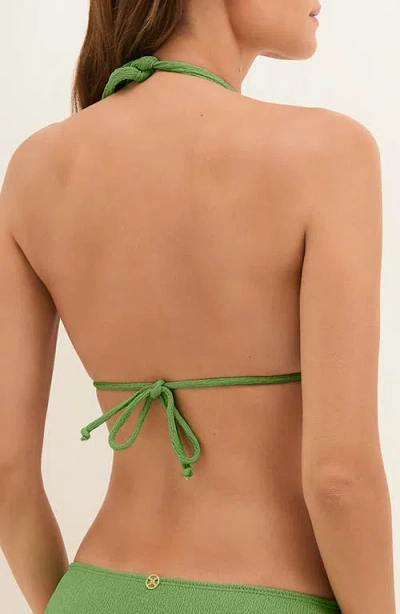Vix Paula Hermanny Firenze Paula Triangle Bikini Top In Green