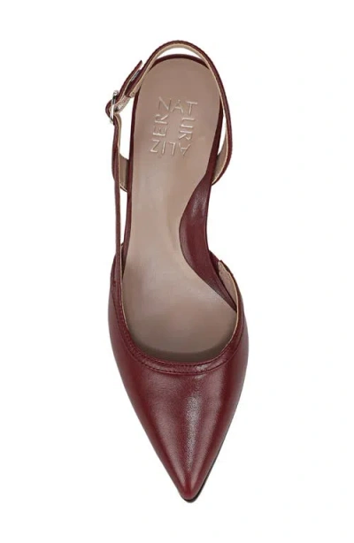 Naturalizer Mila Pointed Toe Slingback Pump In Burgundy