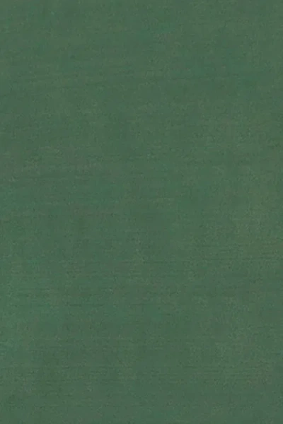 Helen Jon Tortoise Hipster In Green