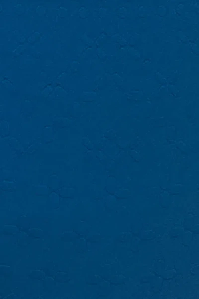 Helen Jon Tortoise Hipster In Blue