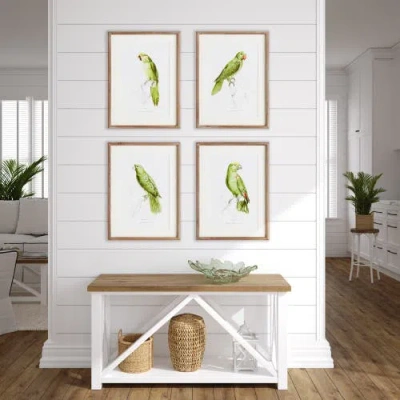 Napa Home & Garden 17.75"w X 1"d X 23.5"h Parrot Illustrations In Green Framed Wall Art Set Of 4 In Green