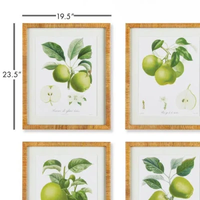 Napa Home & Garden Fruit Study Set Of 4 In Green