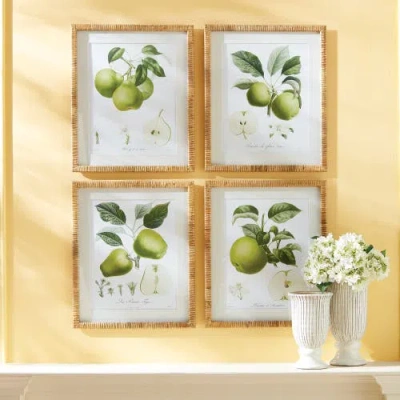 Napa Home & Garden Fruit Study Set Of 4 In Green