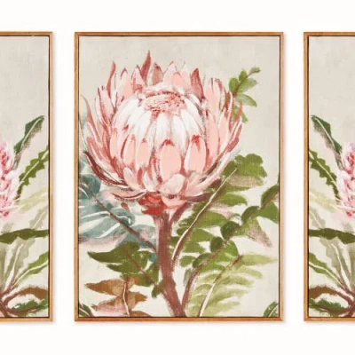 Napa Home & Garden Queen Protea Giclees, Set Of 3 In Pink