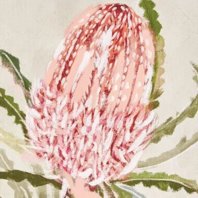 Napa Home & Garden Queen Protea Giclees, Set Of 3 In Pink