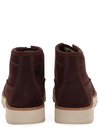 Timberland Waterproof Chukka Boot In Brown