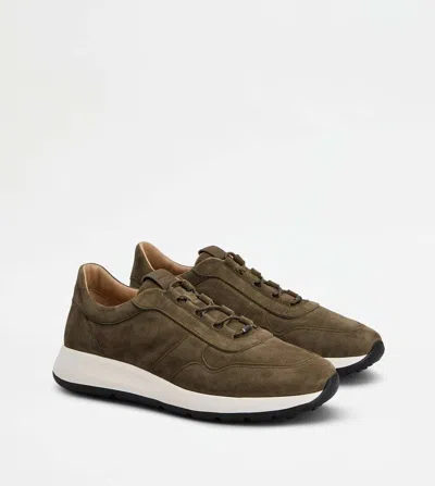 Tod's Red Dot Sneakers In Pashmy Suede In Green
