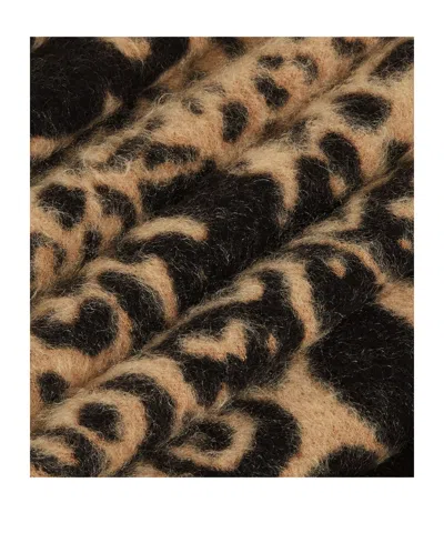 Fendi Scarf In Brown