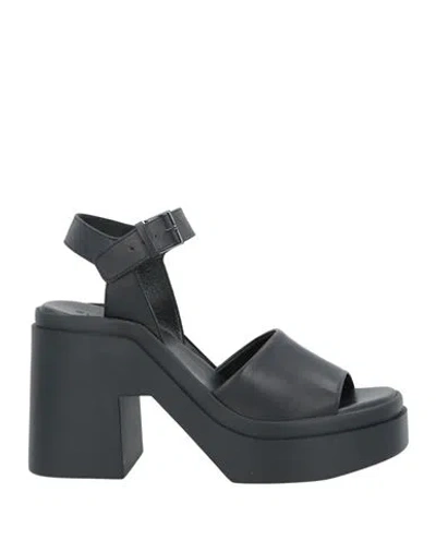 Clergerie Woman Sandals Black Size 7 Leather In Black