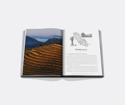 Assouline Coffee Table Books Blue Uni In Gray