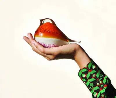 Octaevo Decorative Objects Orange In Orange