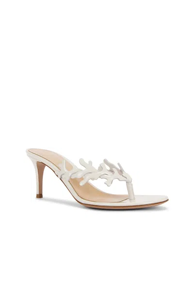 Gianvito Rossi Nuit Sandal In White