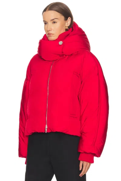 Sportmax Short Padded Jacket With High Collar And Horizontal Stitching In Red