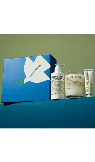 Malin + Goetz The Bright Side In Multi