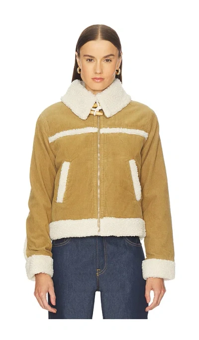 Amo Denim Betty Shearling Jacket In Brown