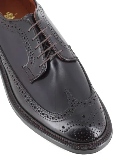 Alden Shoe Company Perforated Wingtip Derby In Brown