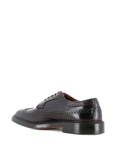 Alden Shoe Company Perforated Wingtip Derby In Brown