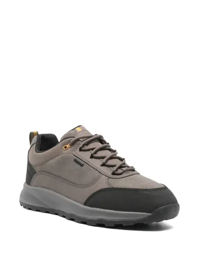 Geox Leather Trainers In Gray