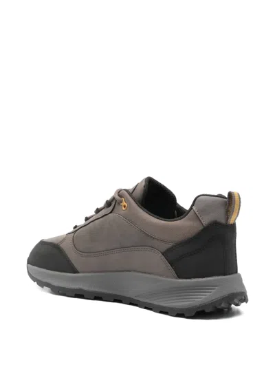 Geox Leather Trainers In Gray