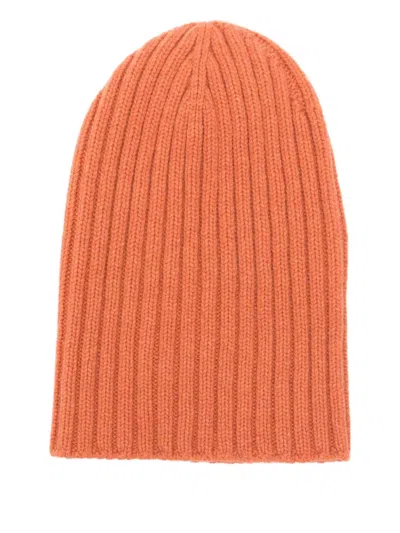 Cenere Ribbed Beanie Hat In Burgundy